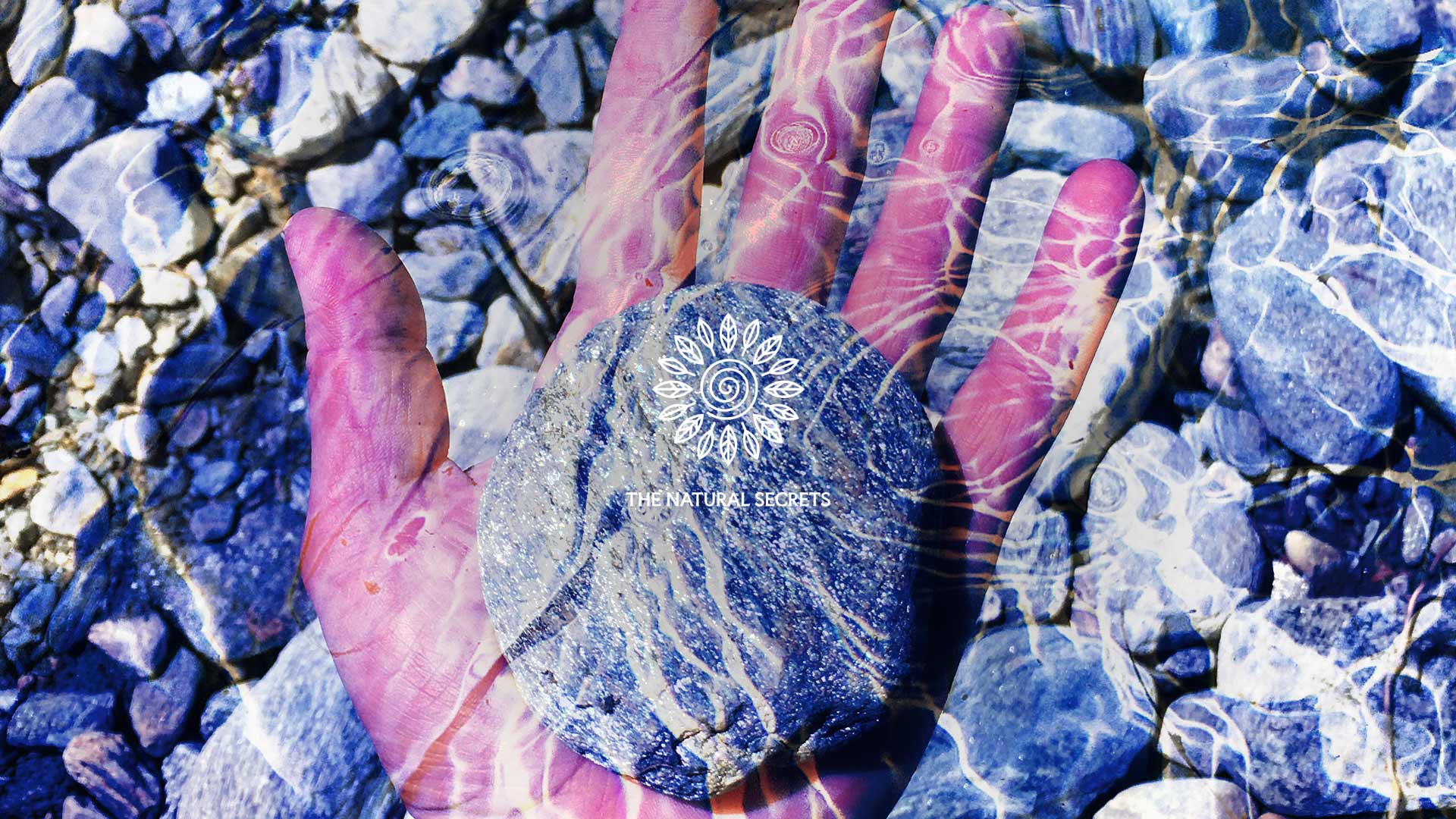 How Self-Awareness Begins: Understanding the Biology of Awareness and Transformation