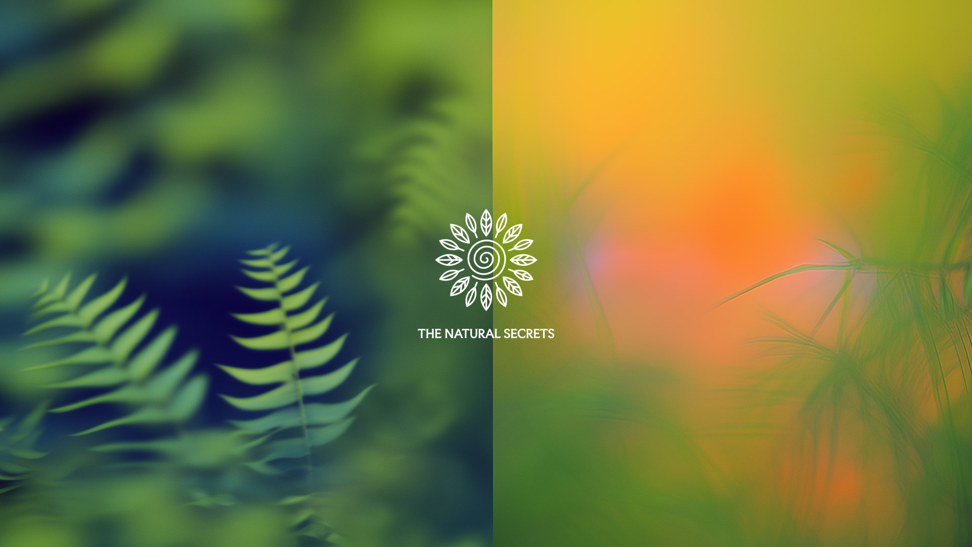 BioHacking. The Natural Secrets-The story and definition of BioHacking