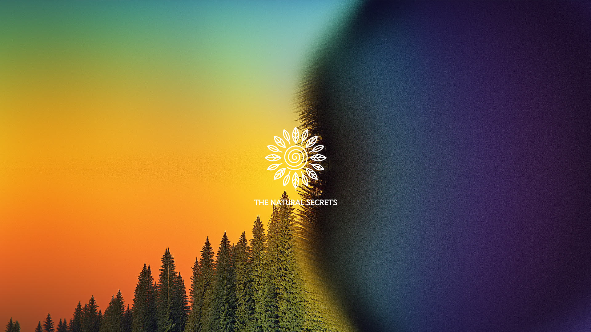 The-NAtural-Secrets-Forest-Bathing-Wellness-Health